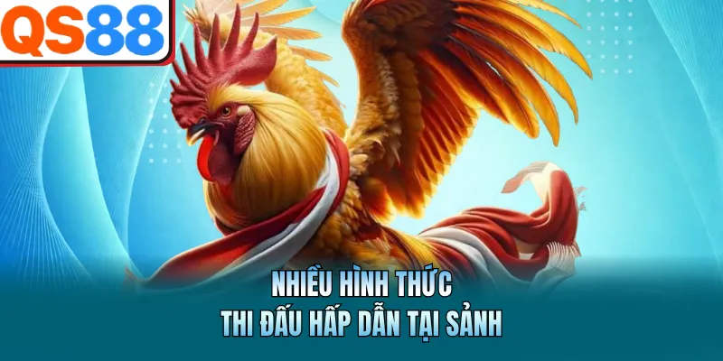 Nhiều hình thức thi đấu hấp dẫn tại sảnh